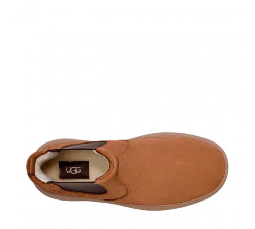 UGG Mens Burleigh Chelsea Chestnut 