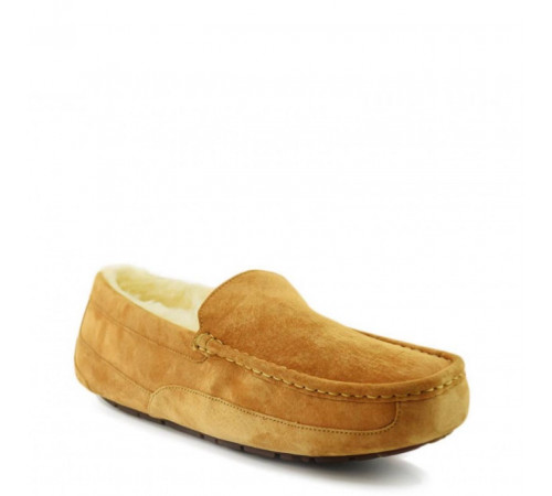 UGG Mens Ascot Chestnut 