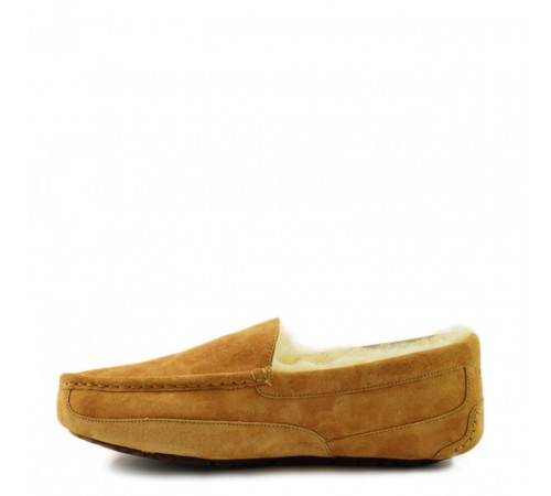 UGG Mens Ascot Chestnut 