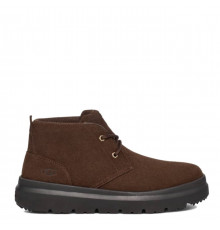 UGG Mens Burleigh Chukka Dusted Cocoa 